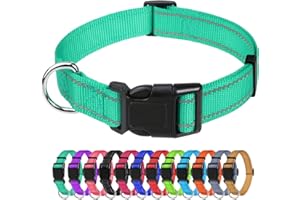 TagMe Odblaskowa nylonowa obroża dla psa, regulowana, klasyczna obroża dla psa z klamrą szybkiego zwalniania, dla średnich psów, turkusowa, szerokość 2,5 cm