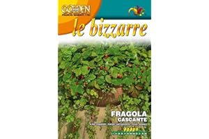 PERAGA GARDEN SEMI DI FRAGOLA CASCANTE ALPINA attila - FRANCHI SEMENTI SELEZIONATE GLBZ63/4