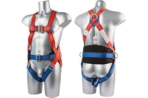 WORKWEAR WORLD 2 Point Safety Fall Arrest Full Body Fall Protection Harness