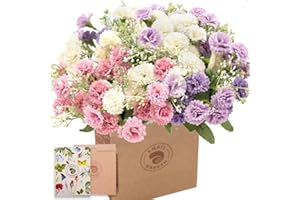 SNAIL GARDEN Artificial Carnations Flowers,60 Heads 3 Bundles Silk Realistic Mini Chrysanthemum Bouquet,with Greeting Card & Brown Paper Bag for Home Office Table Decoration Gift(White/Pink/Purple)