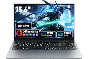 15,6" Ordinateur portable Win11 Pro avec 12 Go de RAM,SSD 256 Go,MS Office 365,écran 100 % sRGB,processeur N4000, Wi-Fi 5 double bande,Bluetooth 4.2, USB-A, HDMI, écran FHD 1920 x 1080 (N4000 12+256)