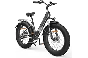 ‎FINBIKE Finbike E Bike mit 26/20 * 4.0 Zoll Fetten Reifen,Elektrofahrrad mit 374.4/624 mAh Abnehmbarem Akku,4 Fahrmodi,Reichweite MAX 80-100KM,Elektrofahrräder für Herren Damen,Electric Bike mit 250W Motor