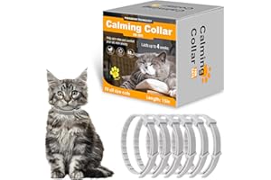 JERYLOTA Pack de 6 collares calmantes para gatos – Feromonas Cat Collar calmante Collar para gato Alivio de la ansiedad y el estrés – Ajustable resistente al agua Breakaway Collar calmante Coll