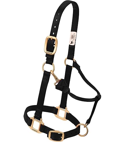 Hamilton Halter de nailon de 1 pulgada con barbilla ajustable, color marrón, tam