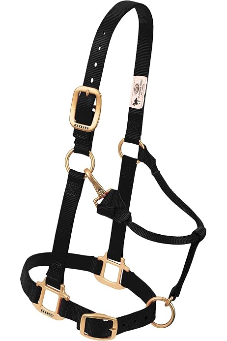 Weaver Leather Miniature Mullen Mouth Half Cheek Driving Bit - 3.5 Inch Horse Tack