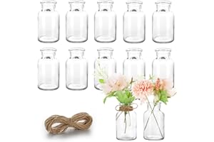 Lannvan Kleine Glasvasen - 12er Set Kleine Vasen für Tischdeko Hochzeit - Deko Vasen Set mit 8m Juteschnur - Mini Glasvasen für Tischdeko - Spülmaschinenfest -10.5cm Hoch