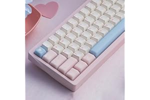 SUMGSN Lot de 164 Touches en PBT à Double Injection Rose translucide pour claviers mécaniques Cherry MX 61/64/87/104/108