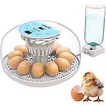 Incubatrice Uova Automatica Per 12/35 Uova - Con Rotazione E Controllo Temperatura, Per Galline E Uccelli - Foto 3