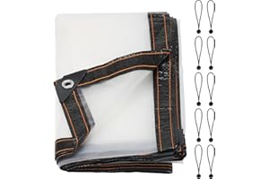 Luabue 2M X 3M Clear Tarpaulin Waterproof Heavy Duty Transparent Tarpaulin Sheet with Eyelets Plastic Tarp Cover with 10Pcs Bungees Ball Cord for Greenhouse Garden Outdoor Camping Caravan Canvas