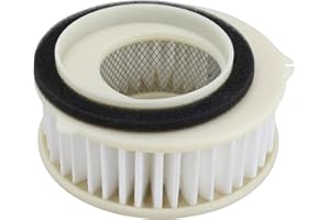 LOCOPOW 4TR-14451-00 Filtro aria per Yamaha V Star 650 XVS650 Custom 1997-2016 / V Star 650 XVS650 Custom Raven/V Star 650 XVS650 Custom con fiamme