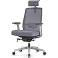 Duwinson Ergonomic Home Office Chair With 4-Way Adjustment Armrest, Mesh Computer Desk Chair, Reclining Adjustment Back Support, Adjustable Headrest, Padded Lumbar Support (Grey-UE)