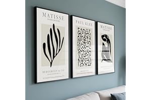 PWAAHDC Lot de 3 Tableaux Décoration Murale Salon et Chambre – Affiches Décoration Murale Matisse Beige Sans Cadre, Posters et Arts Décoratifs, Toile Murale 40x50 cm