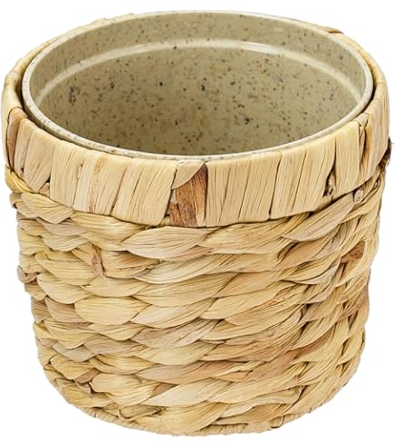 Maceta De Seagrass Scheurich – Hecha A Mano Con Algas Marinas, Impermeable, Ideal Para Plantas De Interior – Blanco, 22 Cm