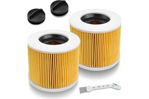 Baxcdyswe Lot de 2 filtre à aspirateur pour karcher WD series WD2 WD3 WD3P A2004 MV2 MV3 filtres à cartouche, Filtre de rechange pour Kärcher aspirateurs humides et secs 6.414-552.0/64145520