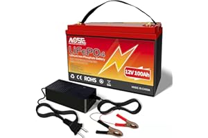 MOSEWORTH Lifepo4 100Ah 12V Akku, 1280wh Lithium Batterie Wohnmobil, In Reihe BMS-Schutz, 10 Jahre Lebensdauer Ersetzt AGM oder Gel Autobatterie für Wohnmobil, Boot, Camping oder Solaranlage - mit ladegerät