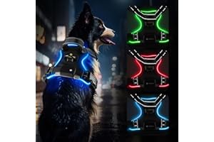 MASBRILL LED Dog Vest Harness, Rechargeable & Reflective with Handle & 2 Lead Clips, Soft Padded for Small, Medium, Large Dogs (Blue L)