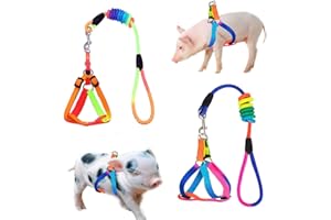 WoYous Mini-Schweine-Geschirr, 2-teilig, verstellbares Geschirr für kleine Schweine, mit Leine, Haustier-Schweine-Geschirr-Set für Schwein, Schwein, Kaninchen, Kleintiere, Spazierengehen, Joggen (S,