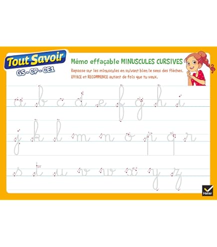 Ardoise Rigide Effaçable Bouchut - Réf. BOARDCHIFFRES - Pour Apprentissage Chiffres - Neuf
