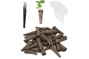 TSKDKIT 30 sztuk zapasowych gąbek do hodowli nasion do wzrostu korzeni