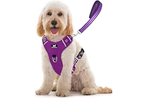 TUFFDOG Easy-Fit Dog Harness Medium - Fast Release Neck Clip, Premium Padded Reflective No Pull Harness with Control Handle, Adjustable Step-in Dog Vest Plus Free Matching Lead (M, Vivid Violet)