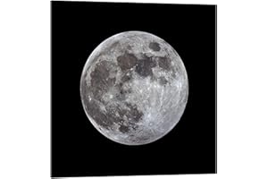Posterlounge MonarchC Full Moon Acrylic Glass Picture 60 x 60 cm Grey Wall Pictures Wall Decoration