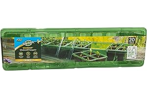 Gro-Sure Visiroot Windowsill Propagator Set, Green