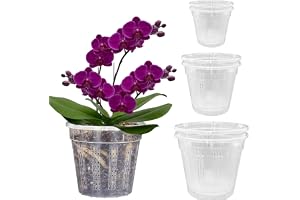 Bamworld 6-pack Genomskinliga orkidékrukor Plastkrukor med dräneringshål 15.5/14.0/10.9cm Transplanteringskrukor för plantor