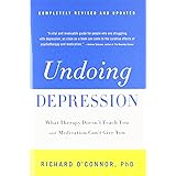 Buy Undoing Perpetual Stress The Missing Connection Between Depression Anxiety And 21stcentury Illness Book Online At Low Prices In India Undoing Perpetual Stress The Missing Connection Between Depression Anxiety And 21stcentury