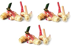 3 x 100g Frischer Galgant - Pamai Pai® - Thai Ingwer frisch Galanga Galangawurzel Suppe