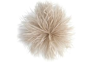 Baesics Feder Brosche - Damen Fluffy Straußenfeder Anstecker Vintage Stil Hutaccessoire Braut Hochzeit Party Fasching Haarclip Fascinator für Blazer Kleid Jacke – Boho Blumen Design