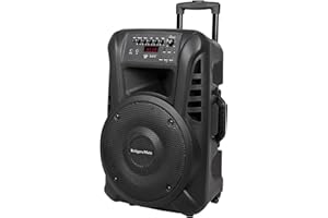 Krüger&Matz KM1712 Aktive Bluetooth-Lautsprecher, PA-DJ-Anlage (2 x Funkmikrofon, SD, FM, USB, Fernbedienung) 40 W 488 x 387 x 665 mm Schwarz