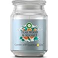 Air Wick Jar Candle with Essential Oils, Teakwood and Sea Salt, 480g