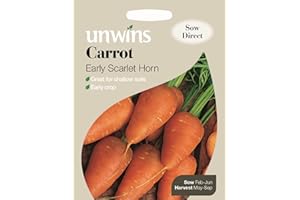 Unwins Pictorial Packet - Carrot Early Scarlet Horn - 1500 Seeds