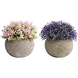 THE BLOOM TIMES 2 Stück kleine künstliche Mini-Topfpflanzen für den Innenbereich, für Zuhause, Bauernhaus, Badezimmer, Büro, 