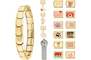 Greenyre 17PCS Italian Charm Bracelet Set Gold-9mm,Italienisches Charm Armband mit Starter-Armband und Öffnungswerkzeuge,DIY Italian Style Charms für Damen Herren Mädchen