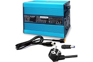 54,6V 5A batteriladdare för 48V litiumbatteriladdare, 48V 5A strömförsörjningsladdare Blå Exteriör med DC 5,5 * 2,5 MM kontak