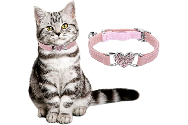 cobee Collier de chat en forme de cœur avec clochette, colliers de chaton réglables avec ceinture de sécurité Collier pour animal de compagnie en strass pour petit chien de chat (rose)