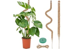 VFANDV Tutores para Plantas, 120 CMSoporte para Plantas de Tótem, Flexible Tutor Plantas de Fibra de Coco, Soporte de Poste de Musgo Grande para Apoyar Plantas de Interior