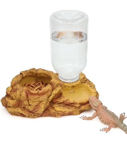 Reptilien-Futternapf Aus Naturstein – 38,4 X 24,1 Cm, Für Schildkröten & Reptilien