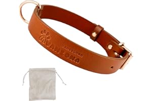 AVANZONA Chien Collier Cuir, Qualité Cuir Souple, Fait À La Main en Espagne, Petit Moyen Grand Chien. Cognac et Or Rose.