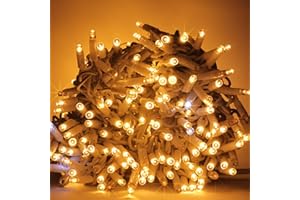 Luccika Stringa Catena di luci Natale a LED Professionale, MaxiLed da 8mm, Flash, per Giardini Negozi Bar, Esterno (Bianco Caldo con Flash Bianco Ghiaccio, 10 Metri - 100 LED)