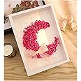 GSHUR 3D Shadow Box A4(210x297mm) Deep Frame for Objects up to 3cm Object Frame for Filling, 3D Display Box for Objects Photos Artworks Memories Flowers Crafts (white,3cm)
