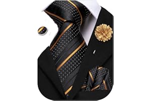Hi-Tie Silk Men's Tie and Pocket Square Cufflinks Lapel Pin Set Jacquard Wedding Business Necktie for Formal