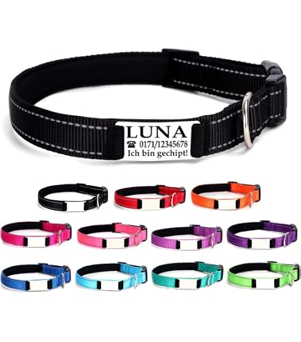 FLAMINGO Ziggi Halsband Für Große Hunde – Größe L (45-65 Cm), Schwarz, Mit Zugentlastung