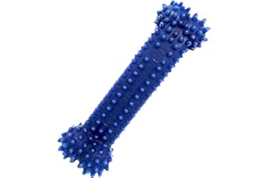 Nylabone - Dental Chew