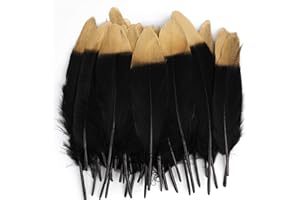 MWOOT 40pcs Plumes Noir Naturelles avec Une Pointe trempée dans l'or, Plumes d'oie de l'artisanat pour Christmas, Fete Mariage décoration de Boucles d'oreilles, capteurs de rêves Bricolage,Chapeaux
