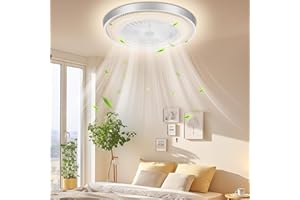 Sararoom 49cm Ventilateur de Plafond avec Lumiere et Télécommande, 60W Ventilateur de Plafond LED Dimmable, 3 Couleurs de Lumière, 6 Vitesses de Vent, Modernité Ventilateur Plafond Silencieux