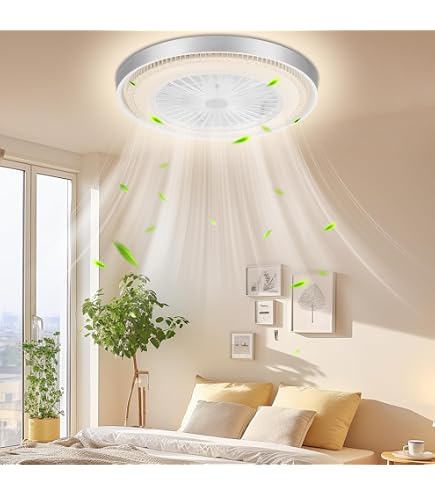 Ventilateur Plafond Silencieux 50cm Avec Télécommande - LED Dimmable 3 Températures Blanc - 6 Vitesses Réversible