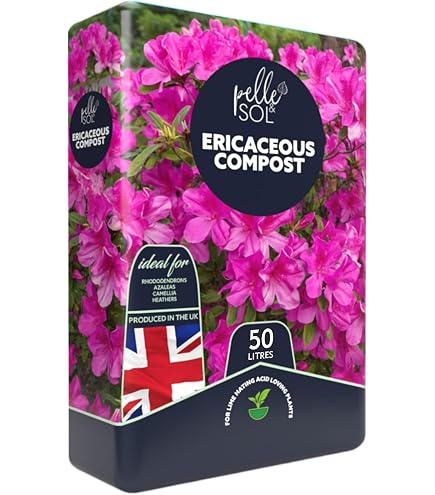 Westland Terriccio Per Piante Acidofile (Ericaceous) - 10L, Con Ferro A Lento Rilascio Per Rododendri, Azalee E Camelie