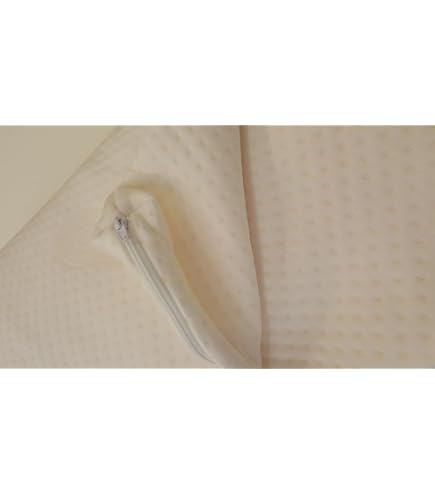 Best Mattress Encasement Cover At Michael Gates Blog